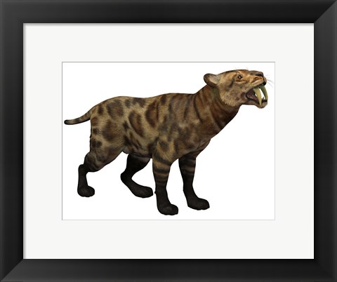 Framed Illustration of a Smilodon Cat from the Cenozoic Era Print