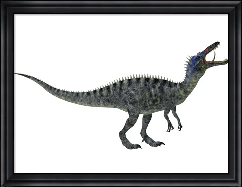 Framed Suchomimus, a large dinosaur from the Cretaceous Period Print