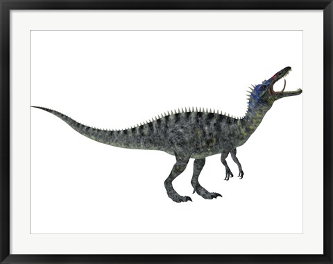 Framed Suchomimus, a large dinosaur from the Cretaceous Period Print