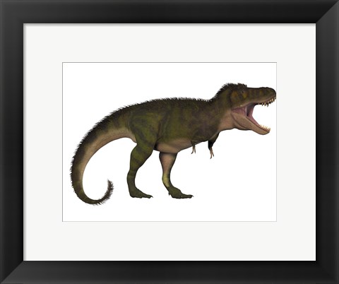 Framed Tyranosaurus Rex, a carnivore of the Cretaceous Period Print