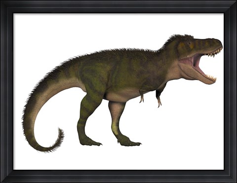 Framed Tyranosaurus Rex, a carnivore of the Cretaceous Period Print