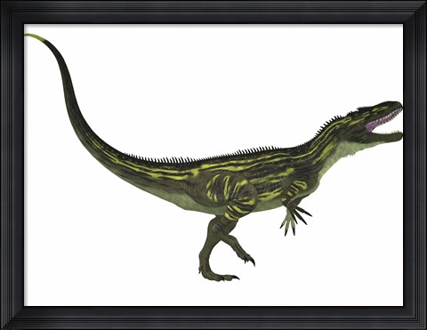 Framed Torvosaurus, a large theropod dinosaur from the Jurassic Period Print