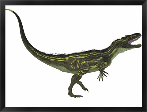 Framed Torvosaurus, a large theropod dinosaur from the Jurassic Period Print
