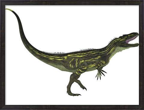 Framed Torvosaurus, a large theropod dinosaur from the Jurassic Period Print