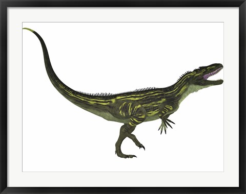 Framed Torvosaurus, a large theropod dinosaur from the Jurassic Period Print