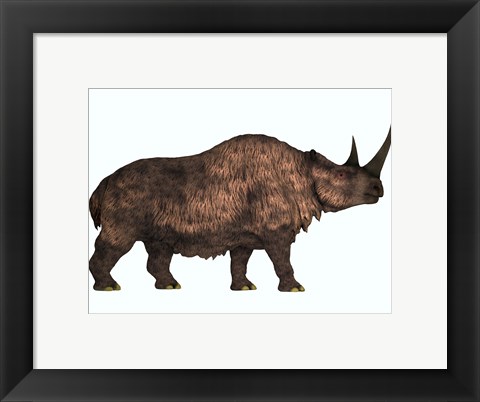 Framed Woolly Rhinoceros, an extinct mammal from the Pleistocene Period Print