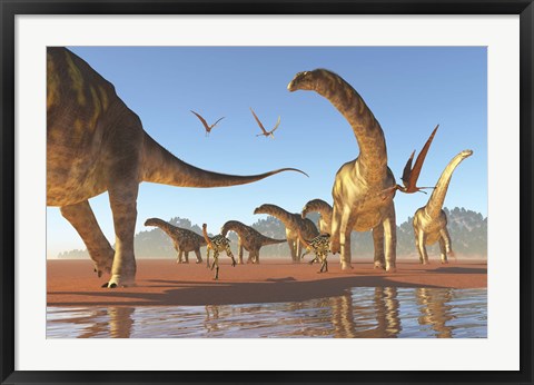 Framed Two Deinocheirus move along with a herd of Argentinosaurus Print