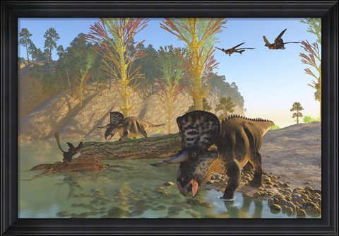 Framed Zuniceratops dinosaurs drinking water from a river Print
