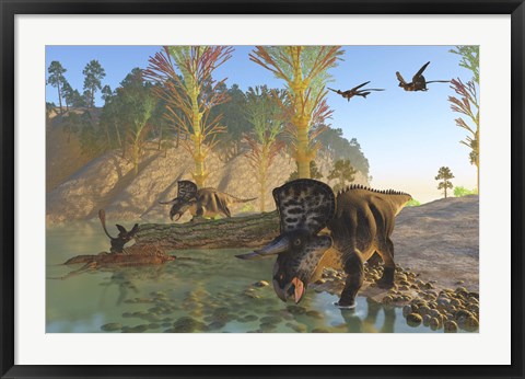 Framed Zuniceratops dinosaurs drinking water from a river Print