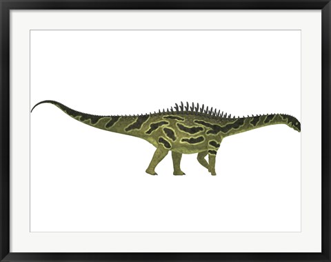 Framed Agustinia ligabuei, a sauropod from the Early Cretaceous Period Print