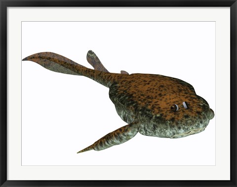 Framed Bothriolepis, a freshwater detritivore from the Devonian Period Print