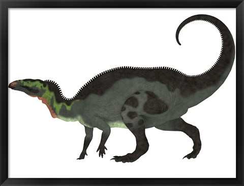 Framed Camptosaurus, a herbivorous dinosaur from the Late Jurassic Period Print