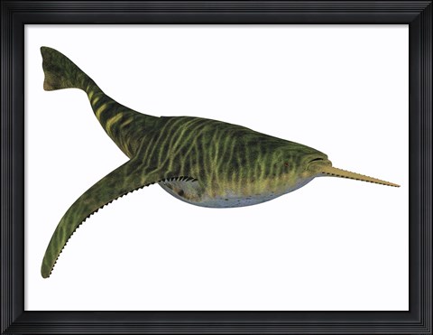 Framed Doryaspis is an extinct genus of primitive jawless fish Print