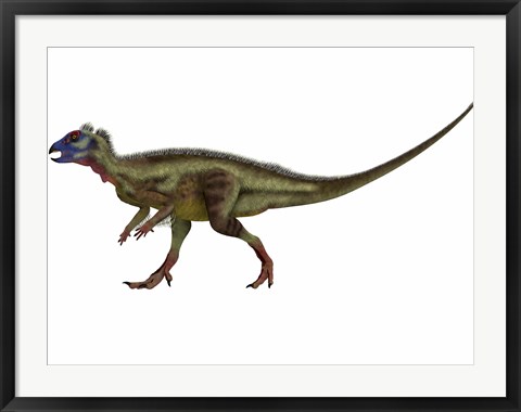 Framed Hypsilophodon is an ornithopod dinosaur from the Cretaceous Period Print