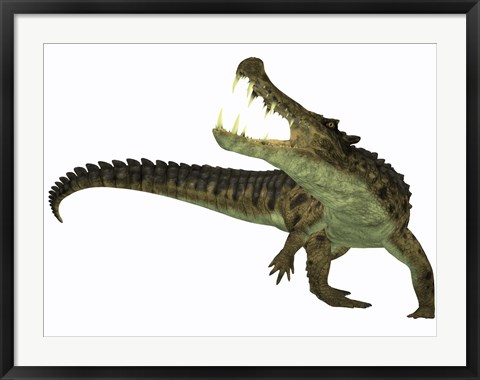 Framed Kaprosuchus is an extinct genus of crocodile Print