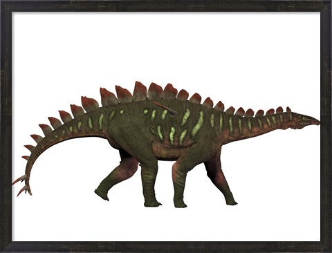 Framed Miragaia is a genus of stegosaurid dinosaur Print