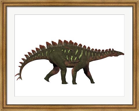 Framed Miragaia is a genus of stegosaurid dinosaur Print
