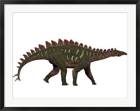 Framed Miragaia is a genus of stegosaurid dinosaur Print