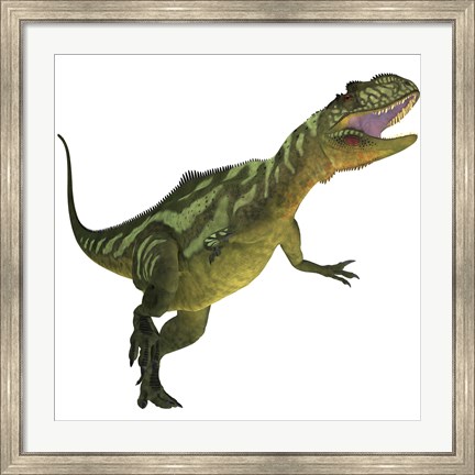Framed Yangchuanosaurus, a theropod dinosaur from the Jurassic Period Print