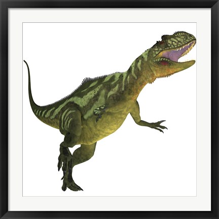 Framed Yangchuanosaurus, a theropod dinosaur from the Jurassic Period Print