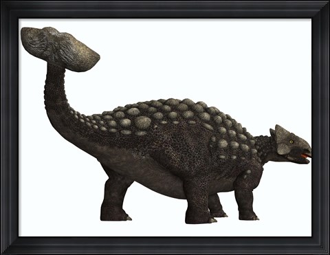 Framed Ankylosaurus, a heavily armored dinosaur from the Cretaceous Period Print