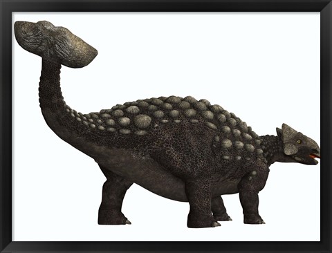 Framed Ankylosaurus, a heavily armored dinosaur from the Cretaceous Period Print