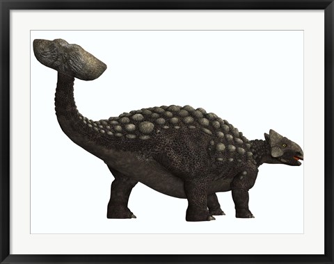 Framed Ankylosaurus, a heavily armored dinosaur from the Cretaceous Period Print