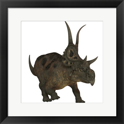 Framed Diabloceratops, a herbivorous dinosaur from the Cretaceous Period Print