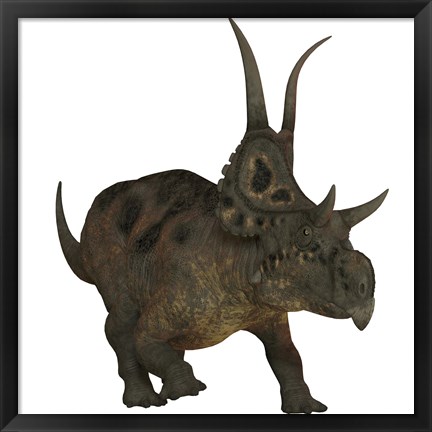 Framed Diabloceratops, a herbivorous dinosaur from the Cretaceous Period Print