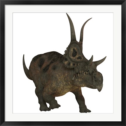 Framed Diabloceratops, a herbivorous dinosaur from the Cretaceous Period Print