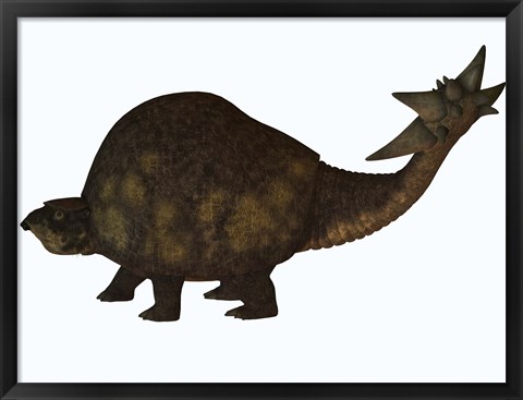 Framed large glyptodont from the Pleistocene epoch Print