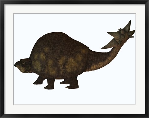 Framed large glyptodont from the Pleistocene epoch Print