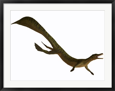 Framed Mesosaurus, an aquatic reptile from the Early Permian period Print