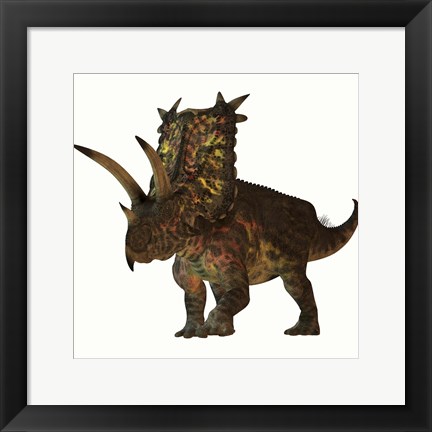 Framed Pentaceratops, a herbivorous dinosaur from the Cretaceous Period Print