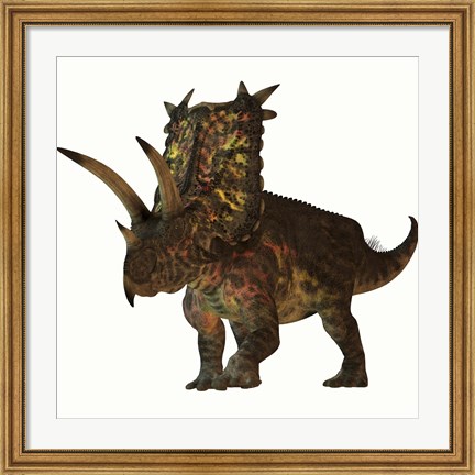 Framed Pentaceratops, a herbivorous dinosaur from the Cretaceous Period Print