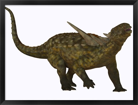 Framed Sauropelta, a herbivorous dinosaur from the Cretaceous Period Print