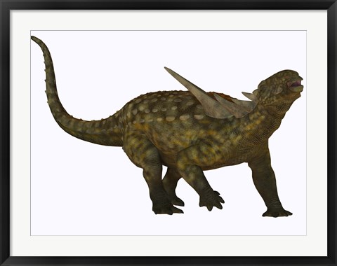 Framed Sauropelta, a herbivorous dinosaur from the Cretaceous Period Print