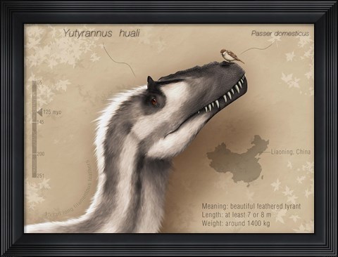 Framed Yutyrannus huali is a feathered tyrannosauroid from the Early Cretacous of China Print