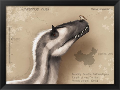 Framed Yutyrannus huali is a feathered tyrannosauroid from the Early Cretacous of China Print