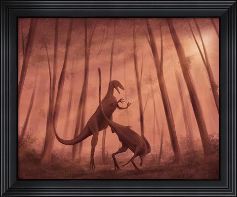 Framed Two Bicentenaria argentina dinosaurs fighting in the woods Print