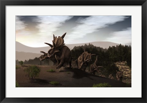 Framed Herd of Xenoceratops foremostensis from the Cretaceous Period Print