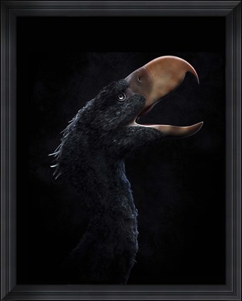 Framed Andalgalornis steulleti, a flightless predatory bird Print