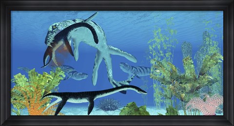 Framed Dakosaurus attacks a small Plesiosaurus Print