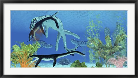 Framed Dakosaurus attacks a small Plesiosaurus Print