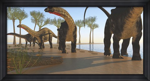 Framed herd of Apatosaurus dinosaurs Print