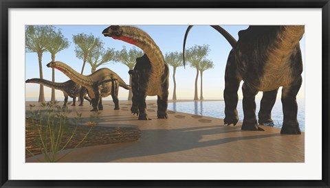Framed herd of Apatosaurus dinosaurs Print