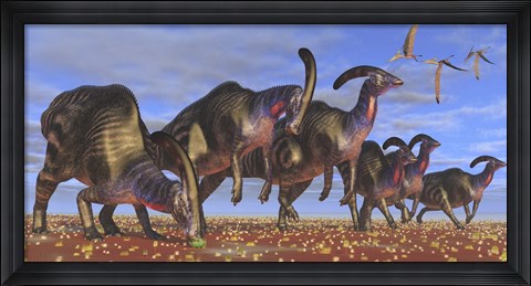 Framed herd of Parasaurolophus dinosaurs searching for vegetation Print