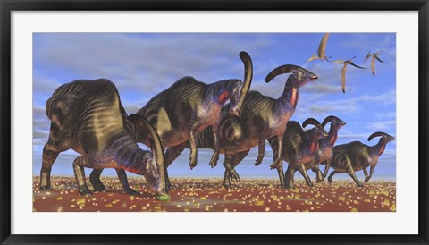 Framed herd of Parasaurolophus dinosaurs searching for vegetation Print