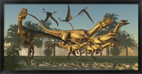 Framed pack of Dilophosaurus dinosaurs hunting for prey Print