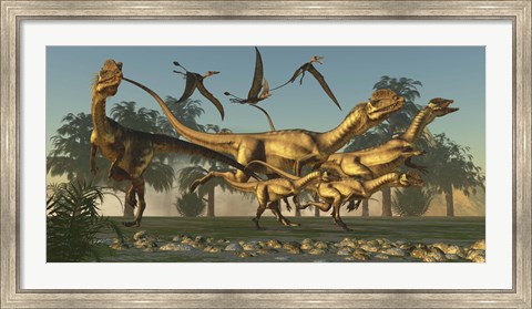 Framed pack of Dilophosaurus dinosaurs hunting for prey Print